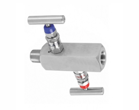 2 Way Gauge Valve