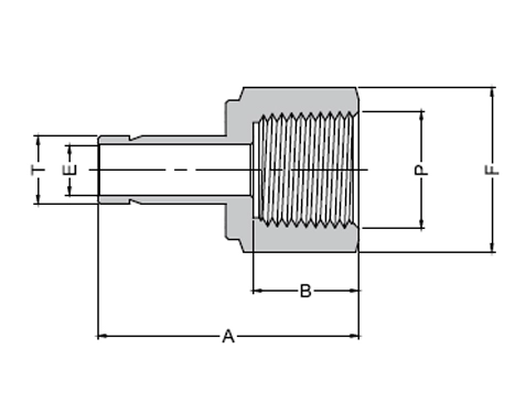 Female Adapter Drawing
