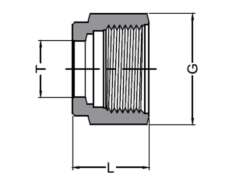 Nut Drawing