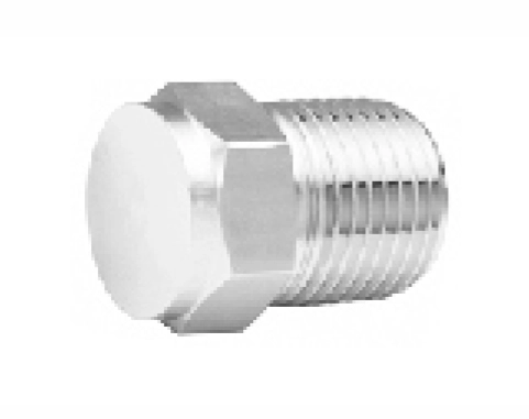 Pipe Plug